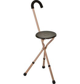 Seat Cane