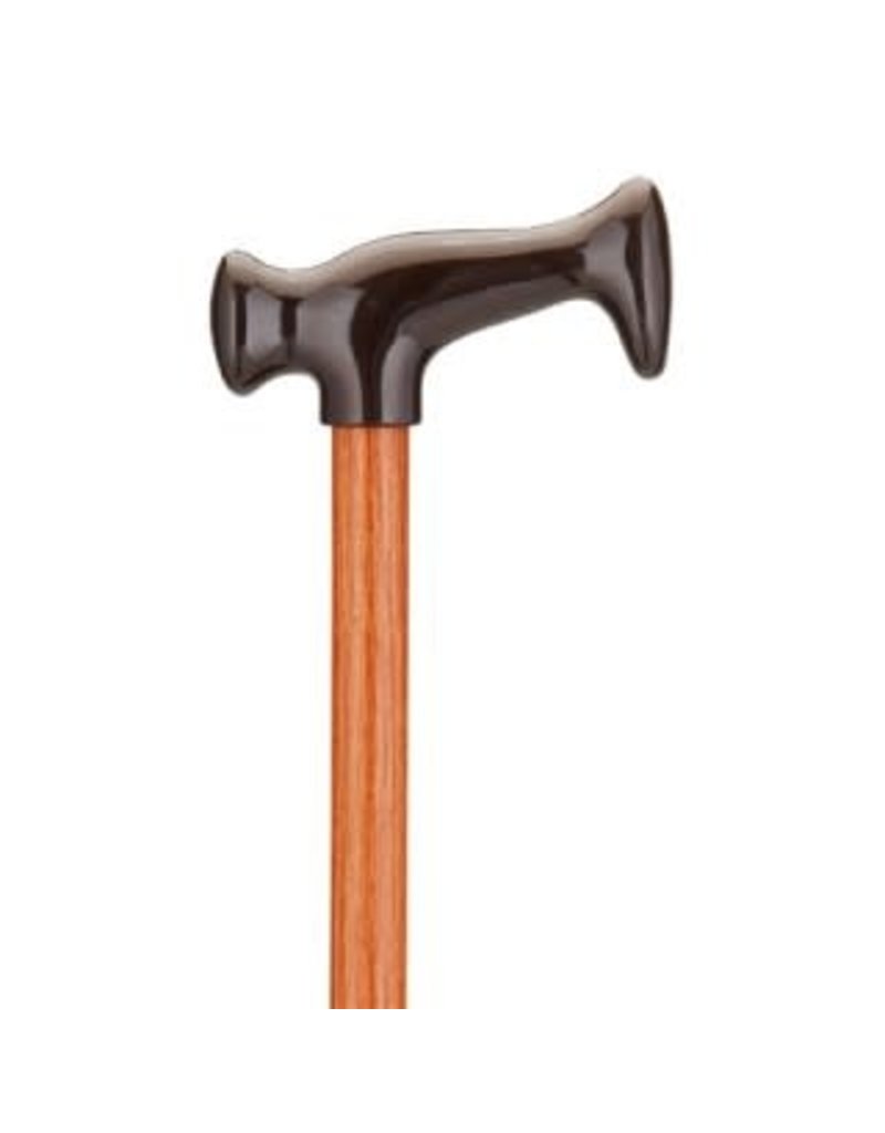 Nova Ortho-Med, INC. Cane with T-Handle