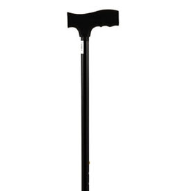 Cane with Plastic T-Grip Handle