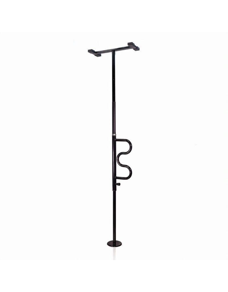 Stander Security Pole