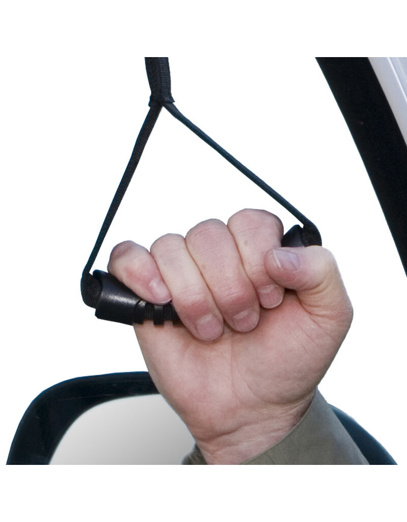 Stander CarCaddie