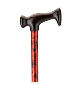 Cane with T-Handle