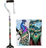 Nova Ortho-Med, INC. SugarCane