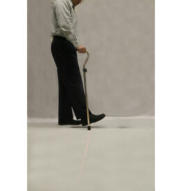 In-Step Mobility Laser Cane