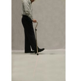 Laser Cane