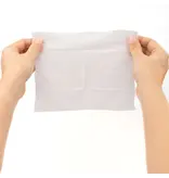 Unscented Travel Wipes (12 x 10 ct.)