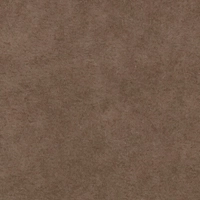 Cocoa