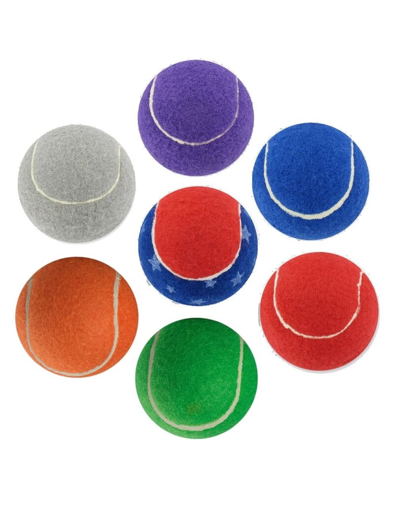 Rose Health WalkerBalls
