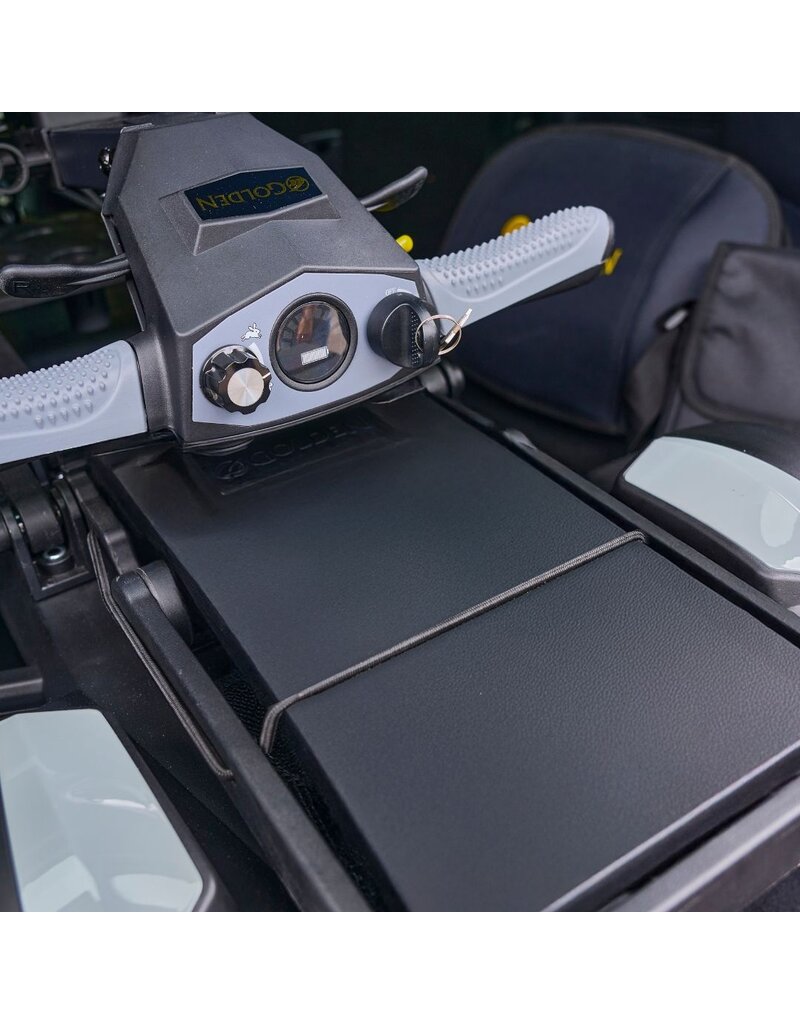 Golden Technologies Buzzaround Carry On HD