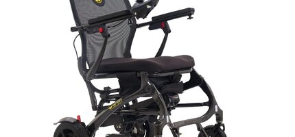 Spotlight on the Golden Cricket