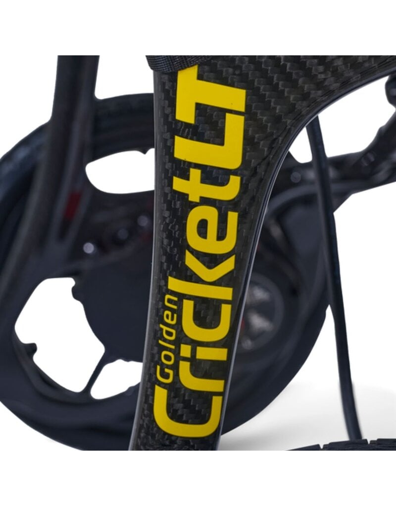 Golden Technologies Cricket LT Carbon Folding Powerchair