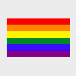 Rainbow Pride Flag (2' x 3' Polyester)