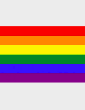Rainbow Pride Flag (2' x 3' Nylon)