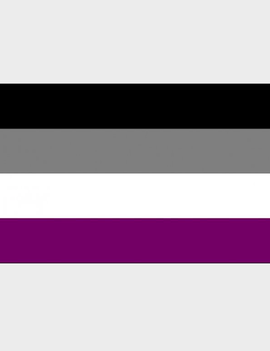 Asexual Pride Flag (3' x 5' Polyester)