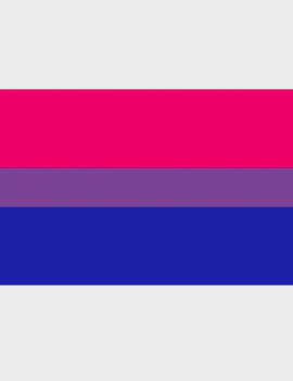 Bisexual Pride Flag (3' x 5' Polyester)