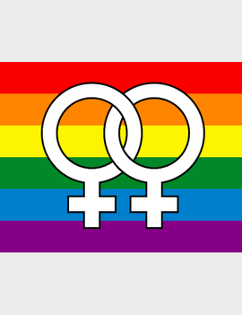 Double Venus Pride Flag (3' x 5' Polyester)