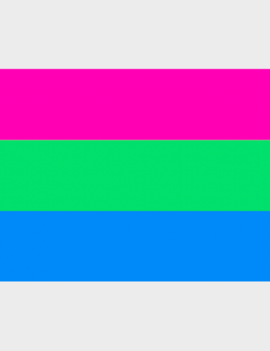 Polysexual Pride Flag (3' x 5' Polyester)