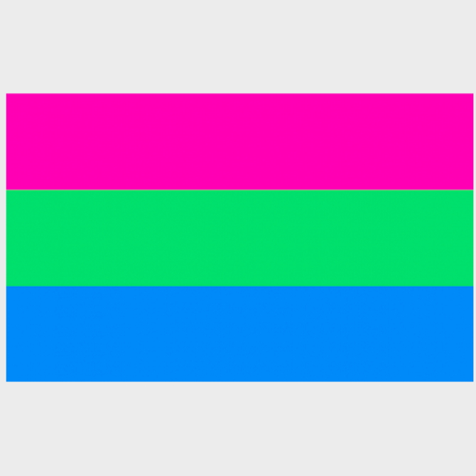 Polyester Flag 3x5 Polysexual Humanity Hillcrest Lifestyle Boutique 