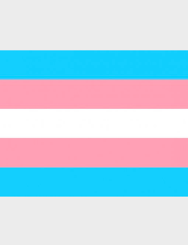 Transgender Pride Sticker (3" x 2")