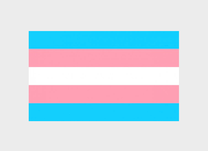 Small Sticker Thin 3x2 Trans Flag - HUMANITY!