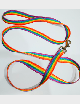 Large Rainbow Pet Leash