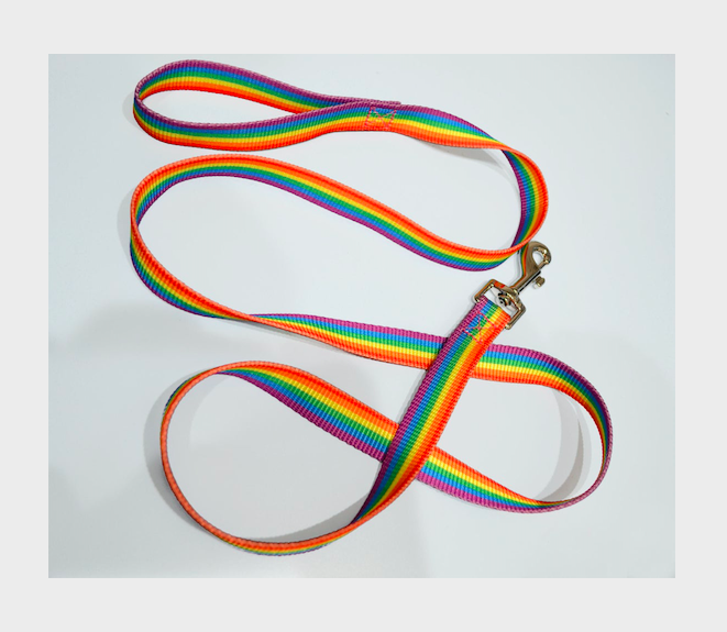 Large Rainbow Pet Leash