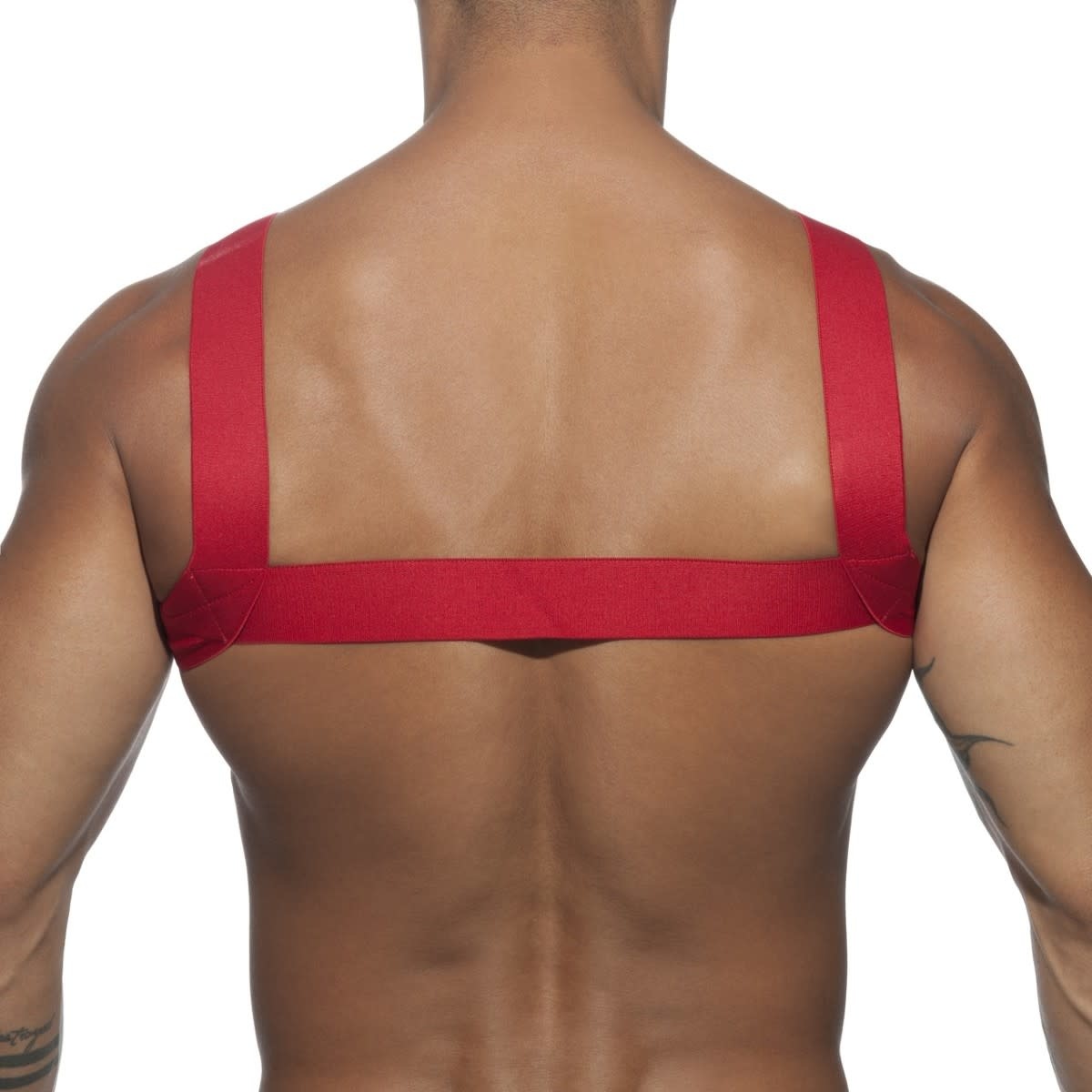 Addicted/ES Basic Elastic Harness - Red