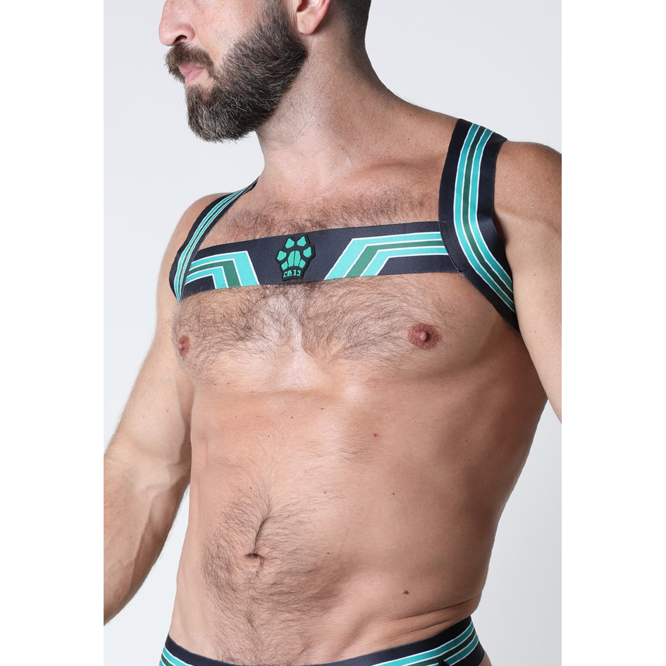 Timoteo/Cellblock 13/Vaux Kennel Club Bandit Harness - Green - sale