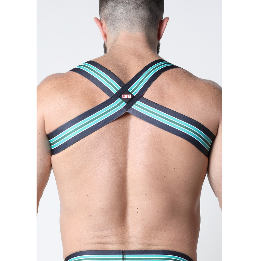 Timoteo/Cellblock 13/Vaux Kennel Club Bandit Harness - Green - sale