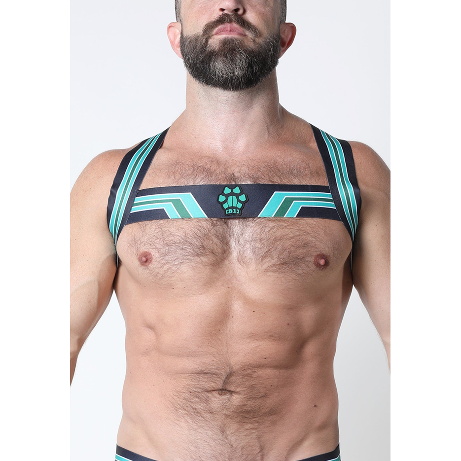 Timoteo/Cellblock 13/Vaux Kennel Club Bandit Harness - Green - sale