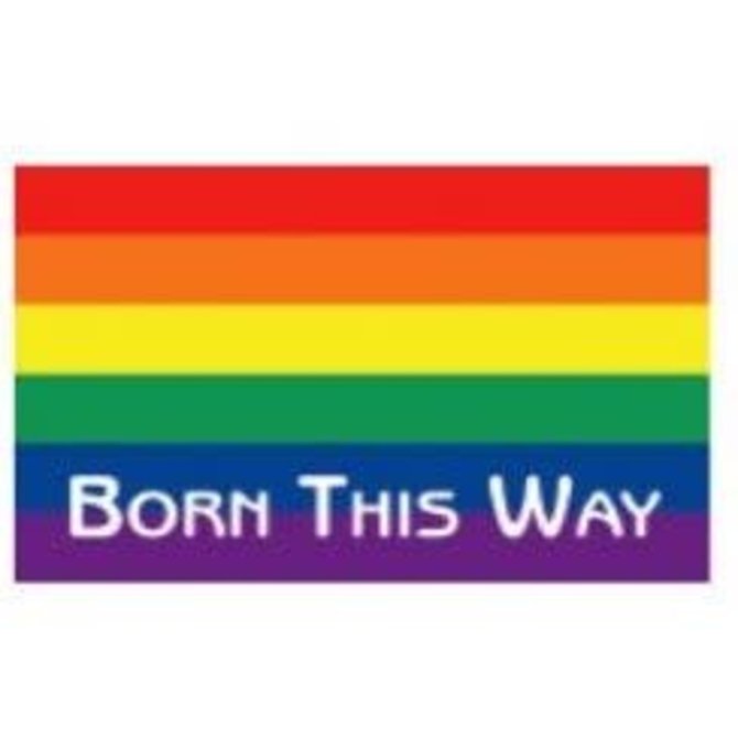 Born This Way - Rainbow Magnet