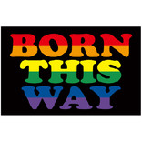 Born This Way Flag - 3' x 5'