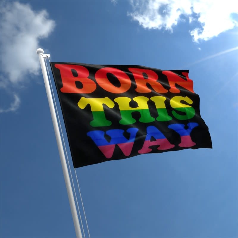 Born This Way Flag - 3' x 5'