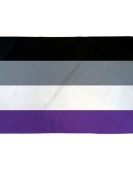 Polyester Flag - Asexual - 2x3