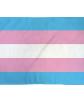 Nylon Flag - Transgender - 2x3