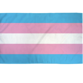 Polyester Flag - Transgender - 3x5