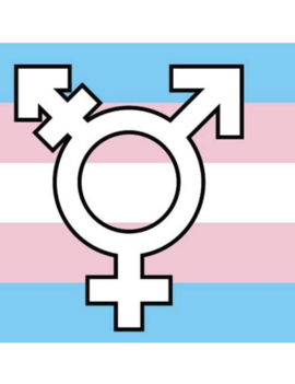 Polyester Flag - Transgender Symbol - 3x5