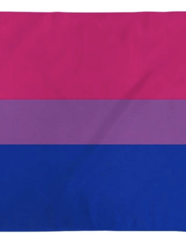 Nylon Flag - Bisexual - 3x5