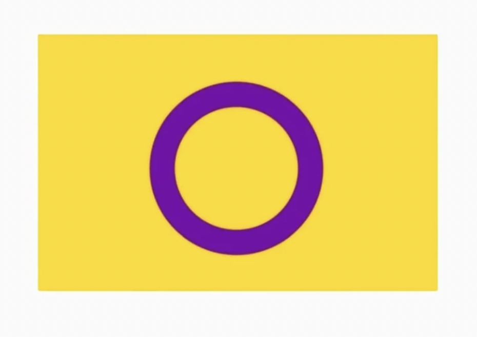 Polyester Flag - Intersex - 3x5