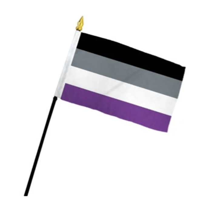 Small Asexual Pride Flag on a Stick