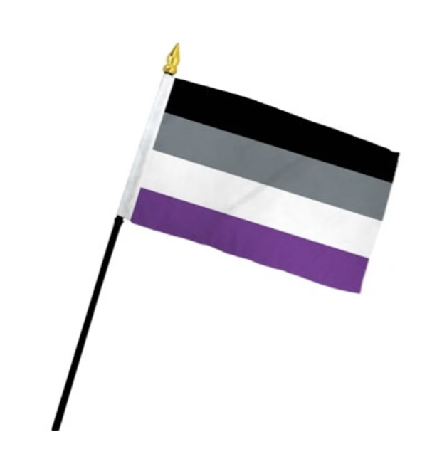 Small Asexual Pride Flag on a Stick