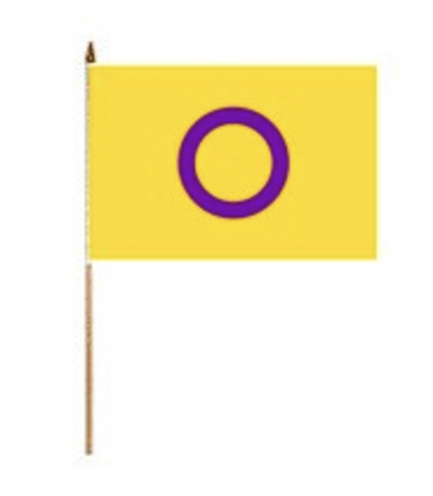 Small Stick Flag - Intersex
