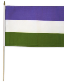 Large Stick Flag - Genderqueer