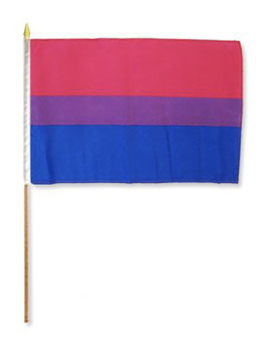 Large Stick Flag - Bisexual