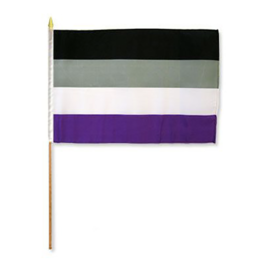 Large Stick Flag - Asexual