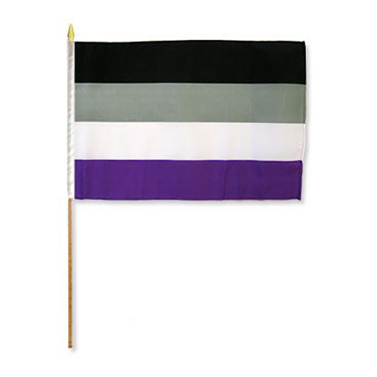 Large Asexual Pride Flag on a Stick