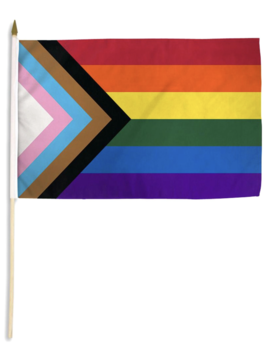 Large Stick Flag - Progress Rainbow