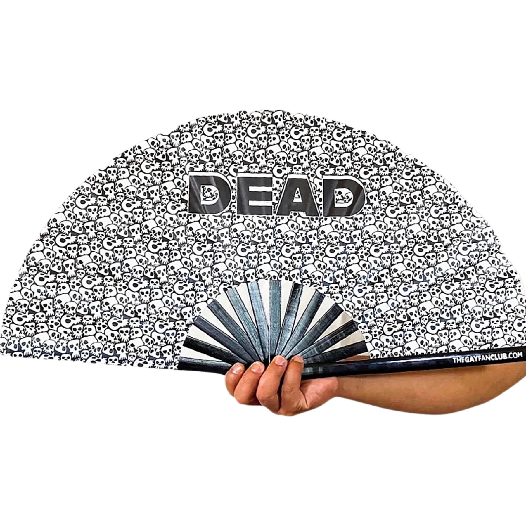 The Gay Fan Club Dead to Me