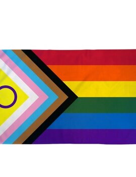 Inclusive Pride Flag  - 2x3