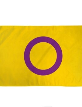 Intersex Pride Stick Flag 12" x 8"